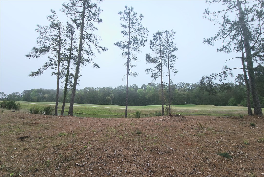 Waverly, Georgia 31565, United States, ,Land,Active,102805