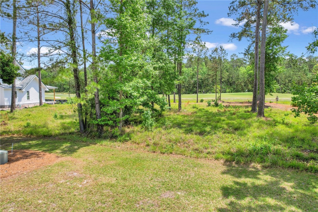 Waverly, Georgia 31565, United States, ,Land,Active,102805