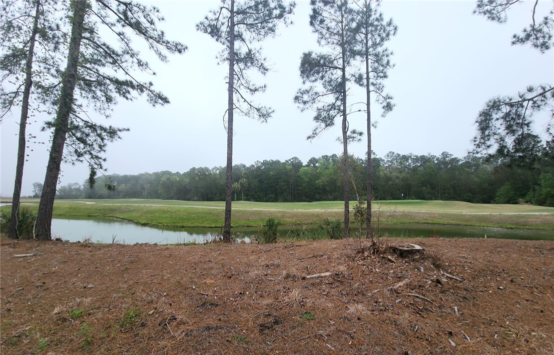 Waverly, Georgia 31565, United States, ,Land,Active,102805