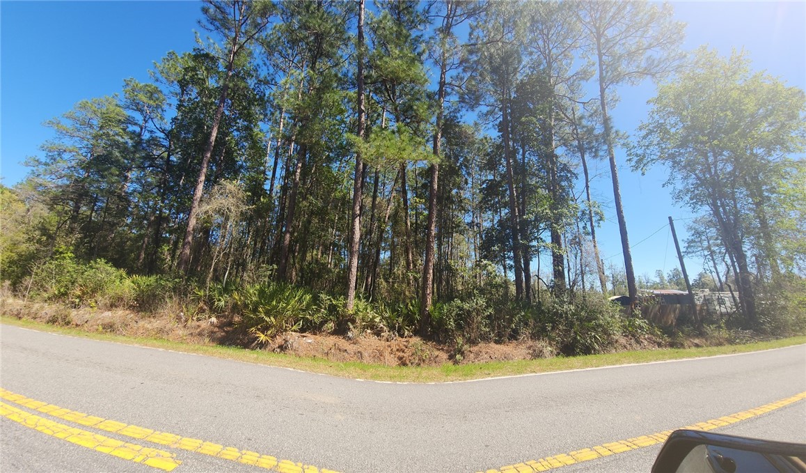 Waynesville, Georgia 31553, United States, ,Land,Pending,61929