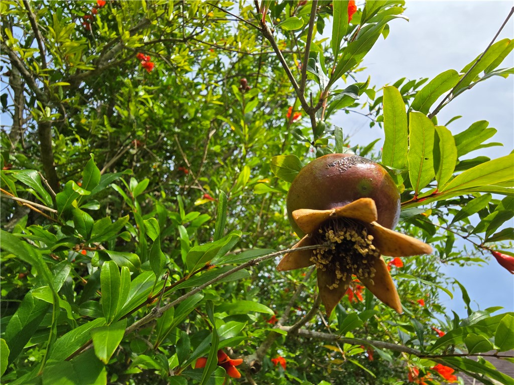 Brunswick, Georgia 31525, United States, 4 Bedrooms Bedrooms, ,2 BathroomsBathrooms,Residential,Pending,124641