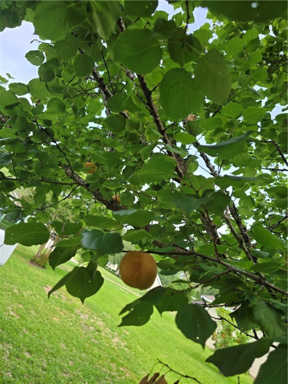 Brunswick, Georgia 31525, United States, 4 Bedrooms Bedrooms, ,2 BathroomsBathrooms,Residential,Pending,124641