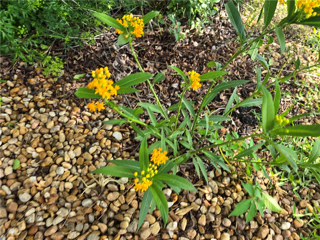 Brunswick, Georgia 31525, United States, 4 Bedrooms Bedrooms, ,2 BathroomsBathrooms,Residential,Pending,124641