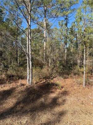 23 HERITAGE CIR, HORTENSE, GA 31543 - Image b00fc190d124c42b7ca8d0e91fb2b1b8/668244277