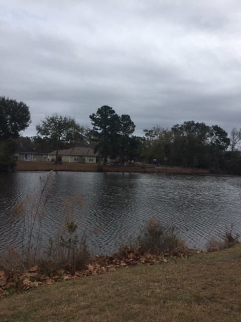 Brunswick, Georgia 31525, United States, 3 Bedrooms Bedrooms, ,2 BathroomsBathrooms,Residential,Active,138630