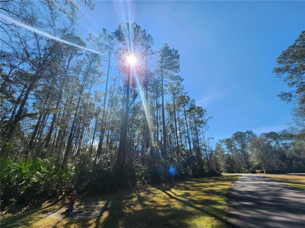 Waverly, Georgia 31565, United States, ,Land,Active,66900