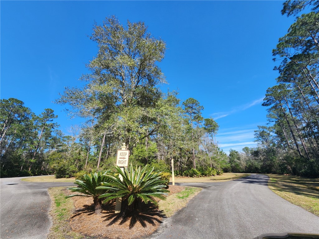 Waverly, Georgia 31565, United States, ,Land,Active,66900