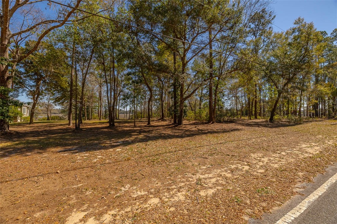 Townsend, Georgia 31331, United States, 4 Bedrooms Bedrooms, ,3 BathroomsBathrooms,Residential,Active,93965