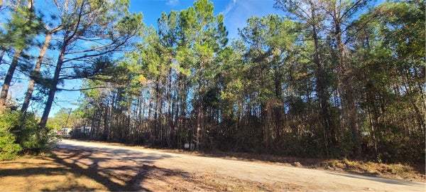 82 FLOYD DR, RICEBORO, GA 31323 - Image f938aa3bda69caf702a9f73f1f2a3ea1/3055252001