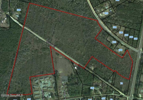 V/L BURTON STREET, NAHUNTA, GA 31553 - Image 2ceb608dcf989d9cceca754476ac4c95/4043133493
