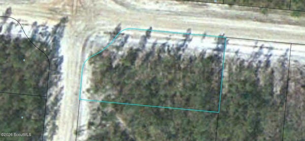 11 SATILLA PLANTATION, WAYNESVILLE, GA 31566 - Image 7fb4c7d7d0a0a490eb4e8c7ee3dfcf48/609521074