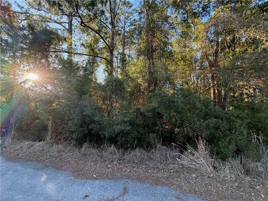 15 TUPELO DR, BRUNSWICK, GA 31525 - Image 9bb943d2fdbbb55413152f5d3adb3fb8/1617913201