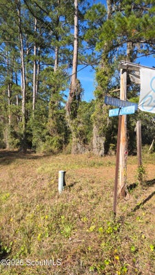 14089 STATE RTE 251, DARIEN, GA 31305 - Image a111a15acb2e84bbd7710d78dd97d286/2631938172