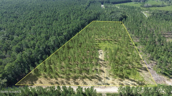 MASSIE CSWY, BRUNSWICK, GA 31523 - Image a113f9ec69e1a7a3d69d9fc294d0a2cc/3395438663