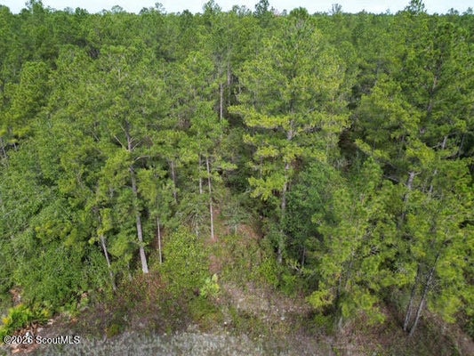 23 HERITAGE CIR, HORTENSE, GA 31543 - Image c514fcb8cdd574efd433b7d46f83e1f9/2095308499