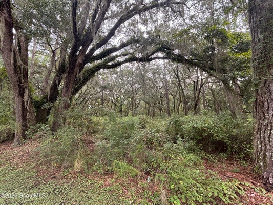 ADDRESS PRIVATE, TOWNSEND, GA  - Image d28b53731fb465e15548ba6601ac5f88/2935754909