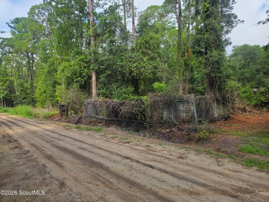 32 CYPRUS RD, HORTENSE, GA 31543 - Image d61bf375f5a19fd3647f0a52d6c04fa5/99704635