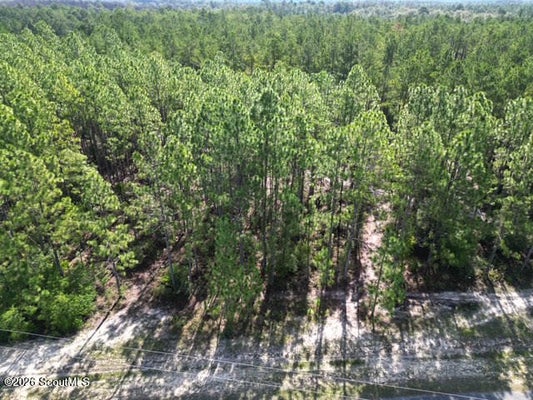 23 HERITAGE CIR, HORTENSE, GA 31543 - Image e4e9d10ccacfb99b5a5381e655fba2ac/1733714856