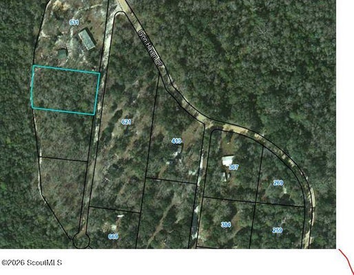 LYNN HAVEN DR, HORTENSE, GA 31543 - Image f7906c02a2caad4f4a35c61cad0fc886/204391109