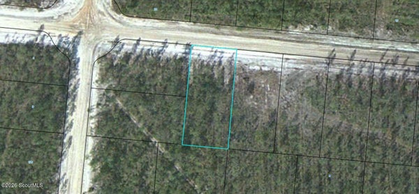 14 SATILLA PLANTATION, WAYNESVILLE, GA 31566 - Image fbaf08ecfebaf878801ecdc161a32d2f/1230358799