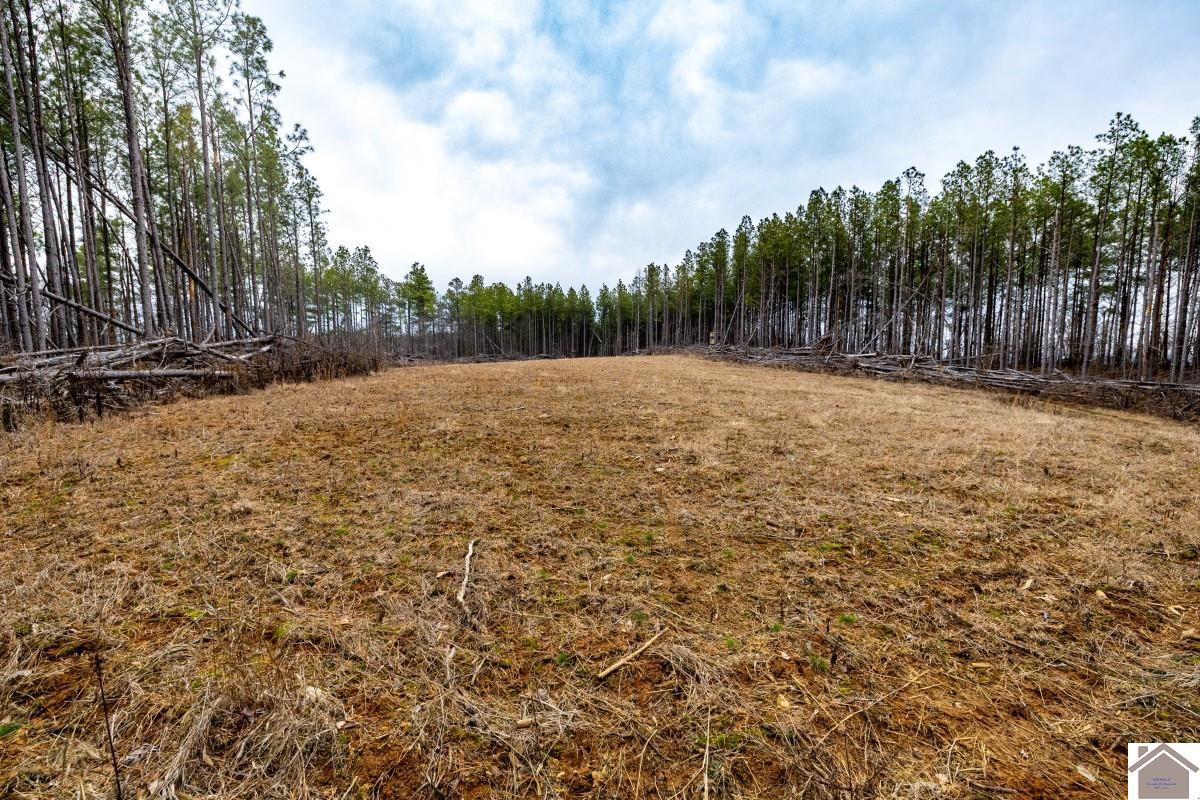 000 Cedar Grove Road