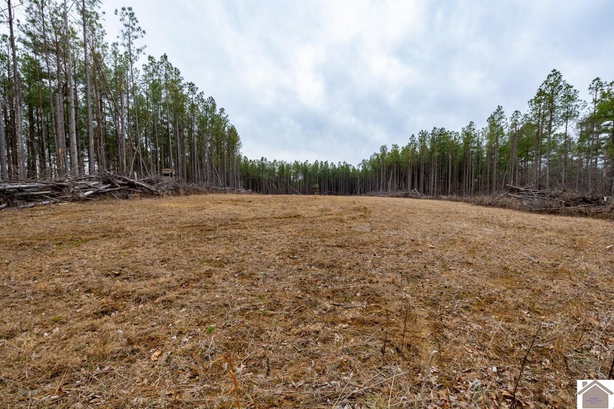 000 Cedar Grove Road