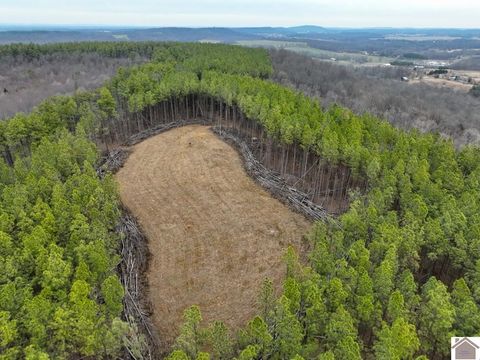 000 Cedar Grove Road Salem KY 42078