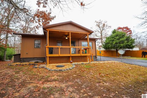 396 Shoreline Drive New Concord KY 42076