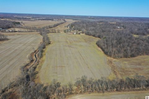 2563 State Route 58 Mayfield KY 42066