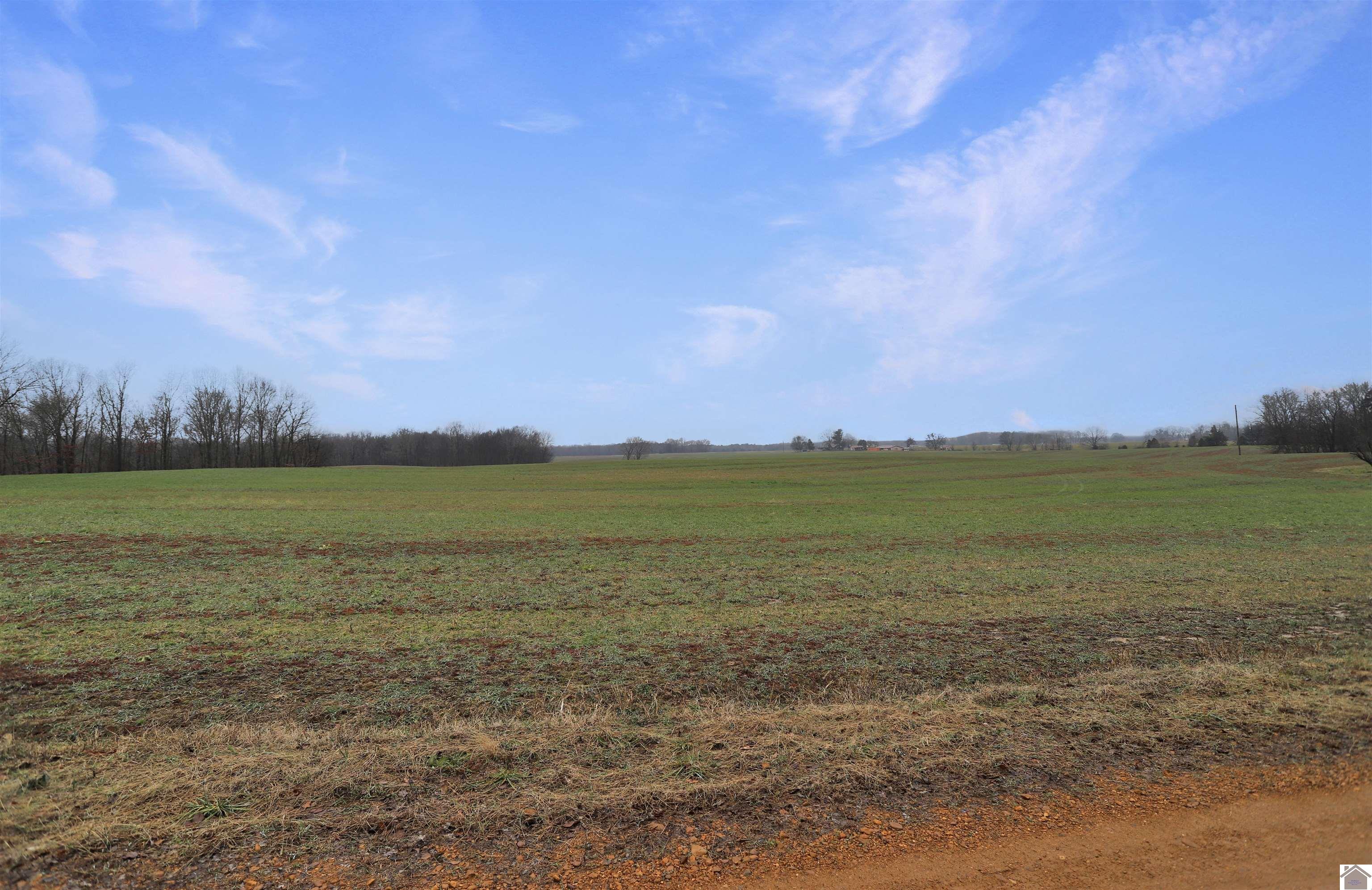 00 Atkins Trail (+/- 31 acres)