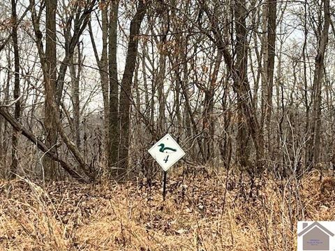 00 Pelican Way Cadiz KY 42211