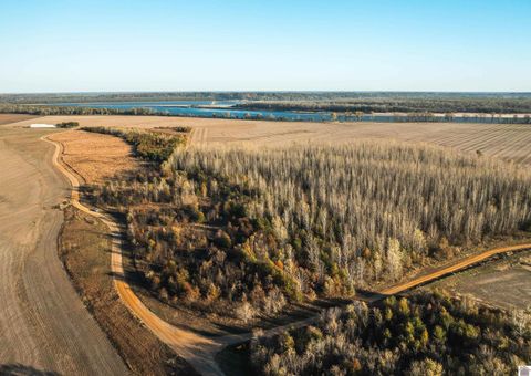 Wolfe Island Road Clinton KY 42031