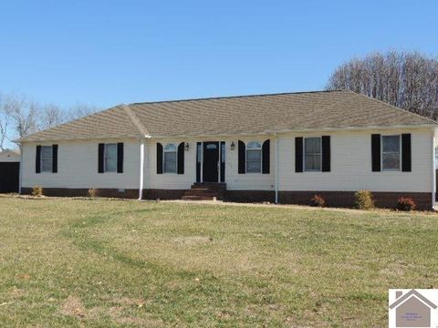 686 St Rt 2205, Mayfield, KY 42066 - #: 125617