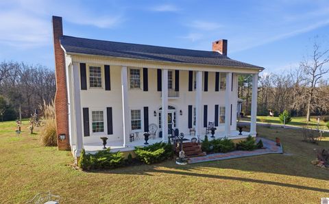 309 Heritage Lane New Concord KY 42076