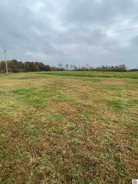 43-64 Magness Rd Wingo KY 42088