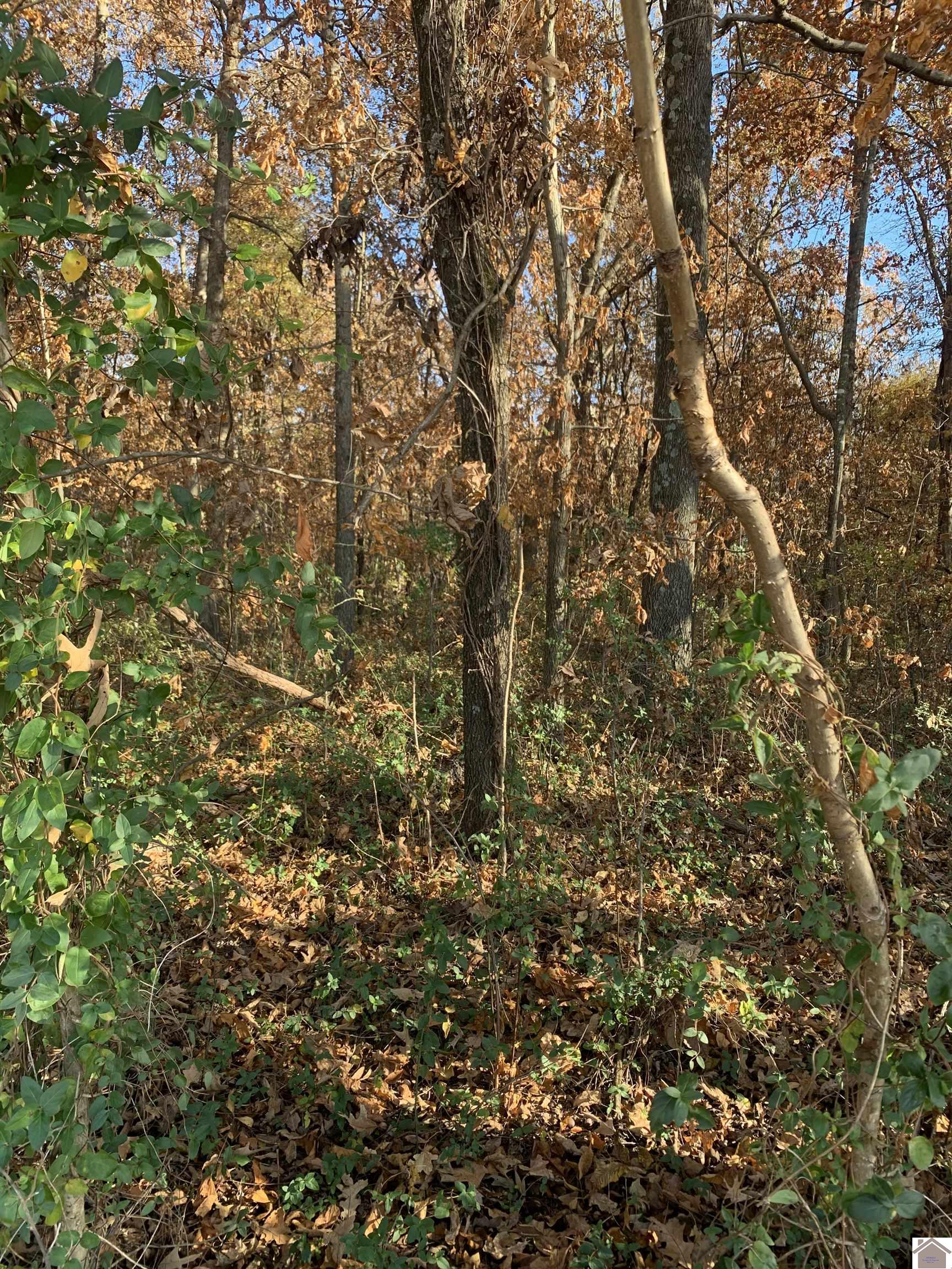 000 Crawford Lake Road