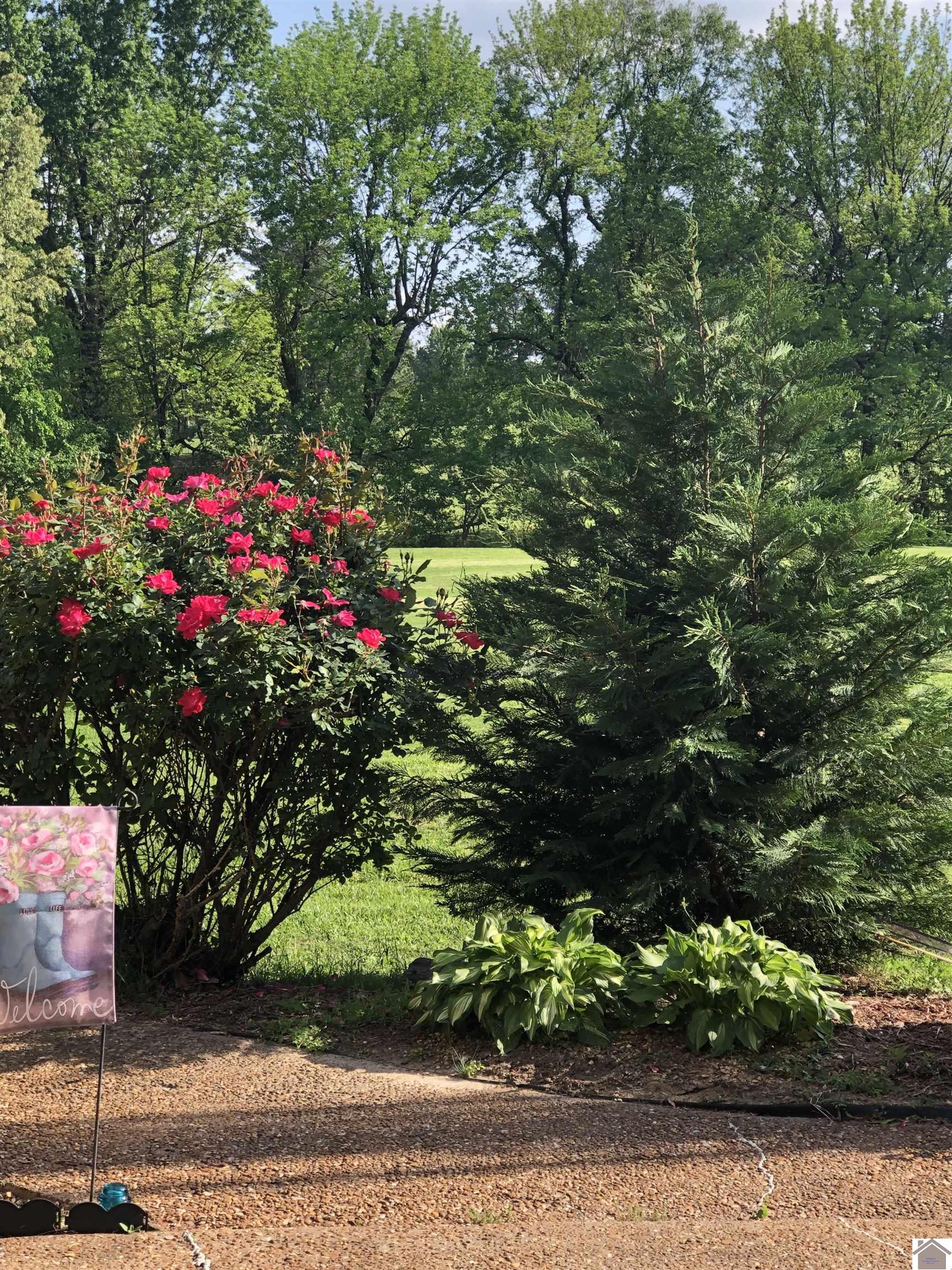 1139 Augusta Dr