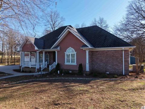 2933 trace creek church rd Mayfield KY 42066