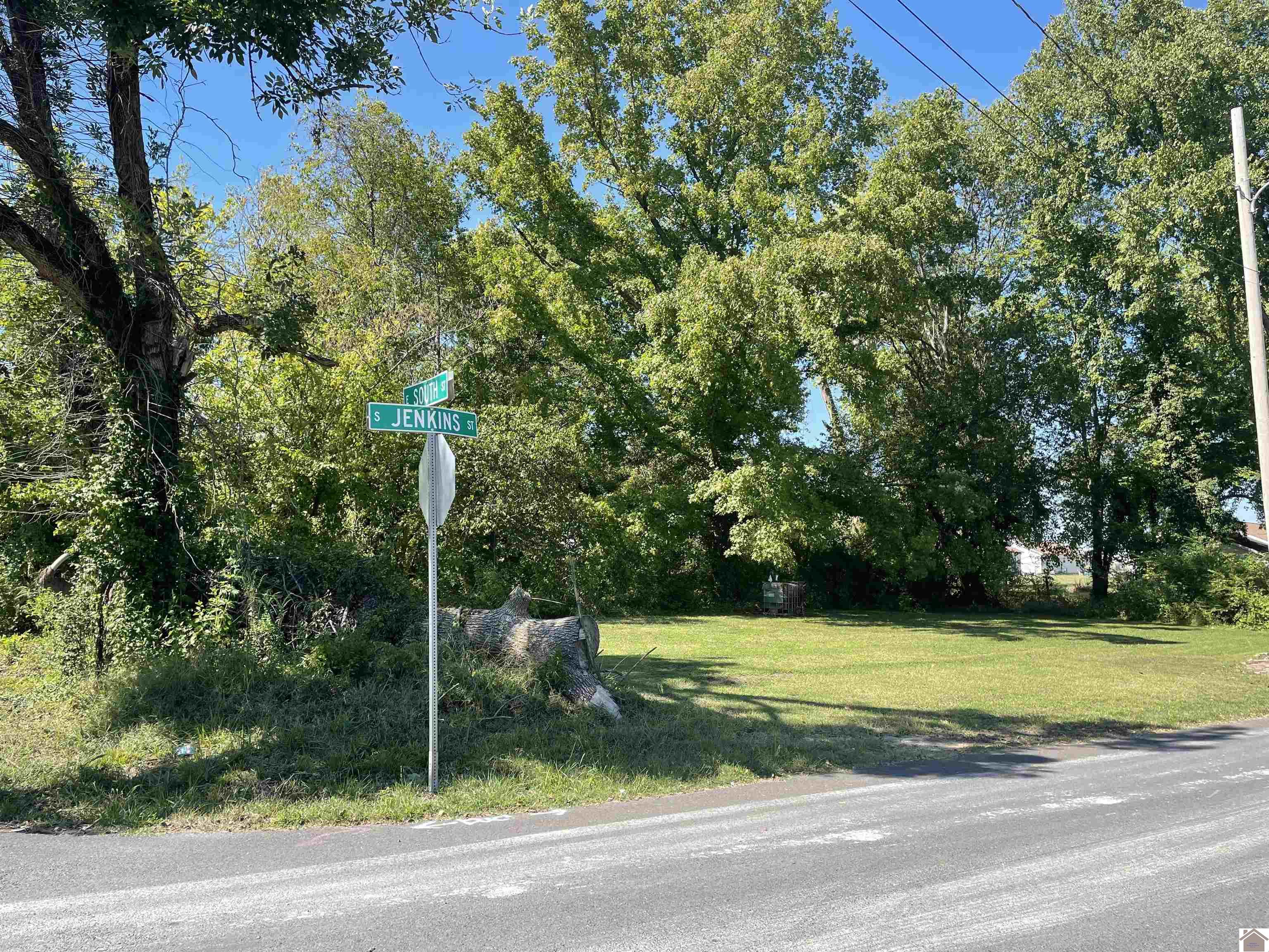 Photo 1 of 4 — 306 S Jenkins Ave, Mayfield, KY 42066