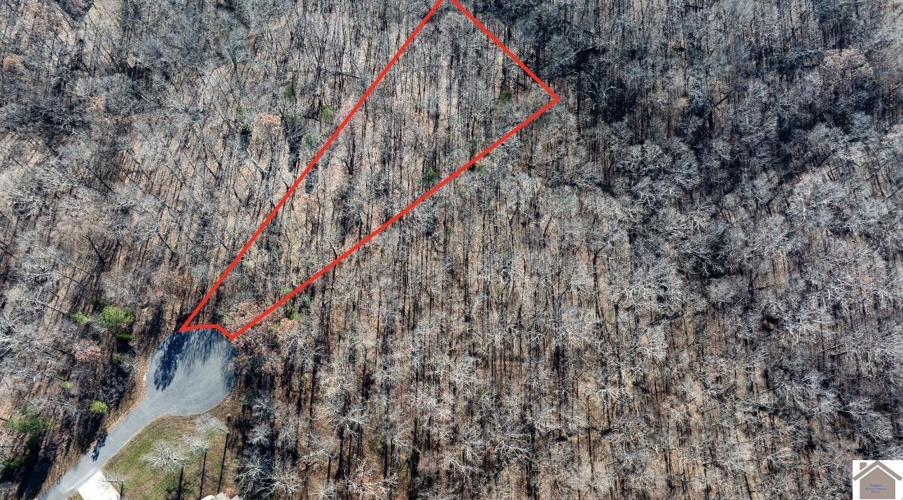 Lot 183 Yellowbird Lane