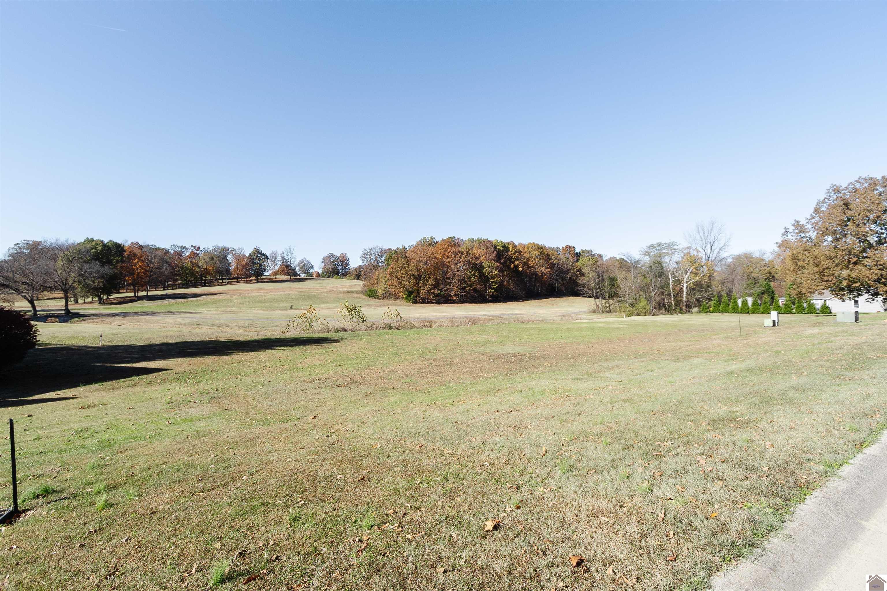 Photo 1 of 8 — Lots 12 & 13 Fairway Dr, Benton, KY 42025