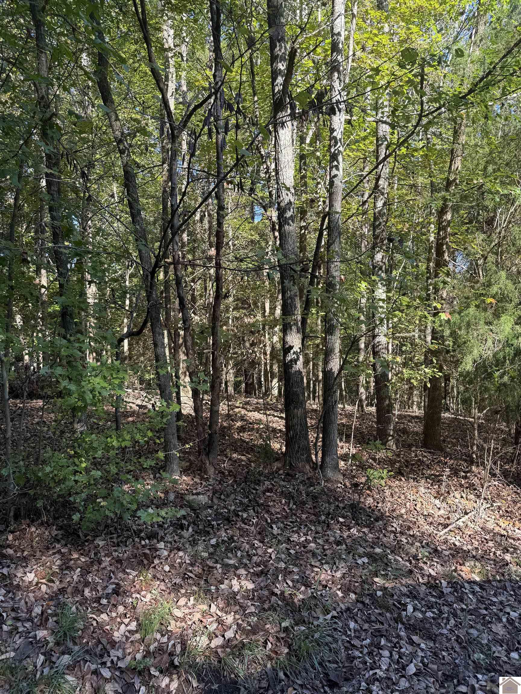 Photo 1 of 1 — 134 Sunset Court, Cadiz, KY 42211
