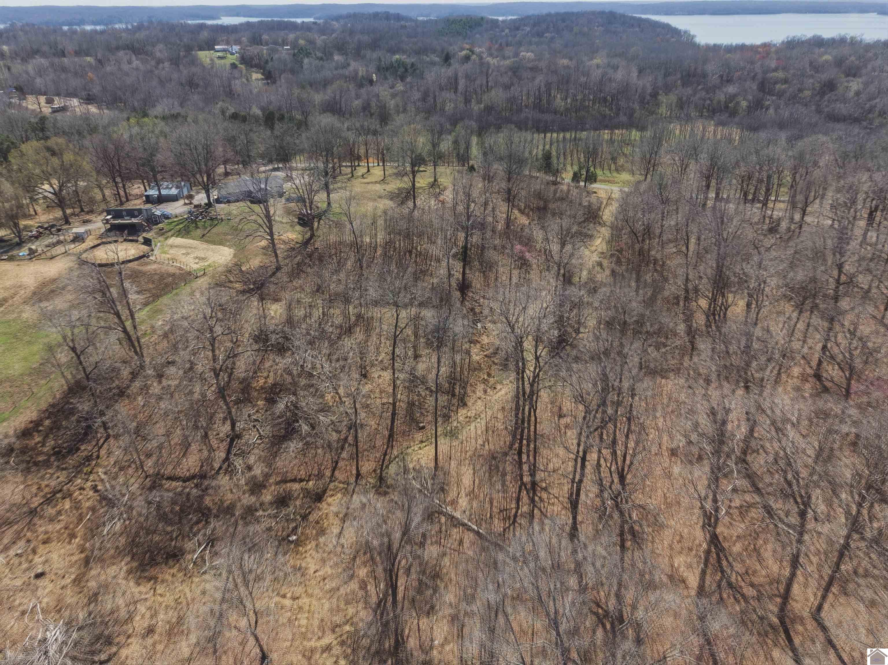 2113 Chestnut Oak