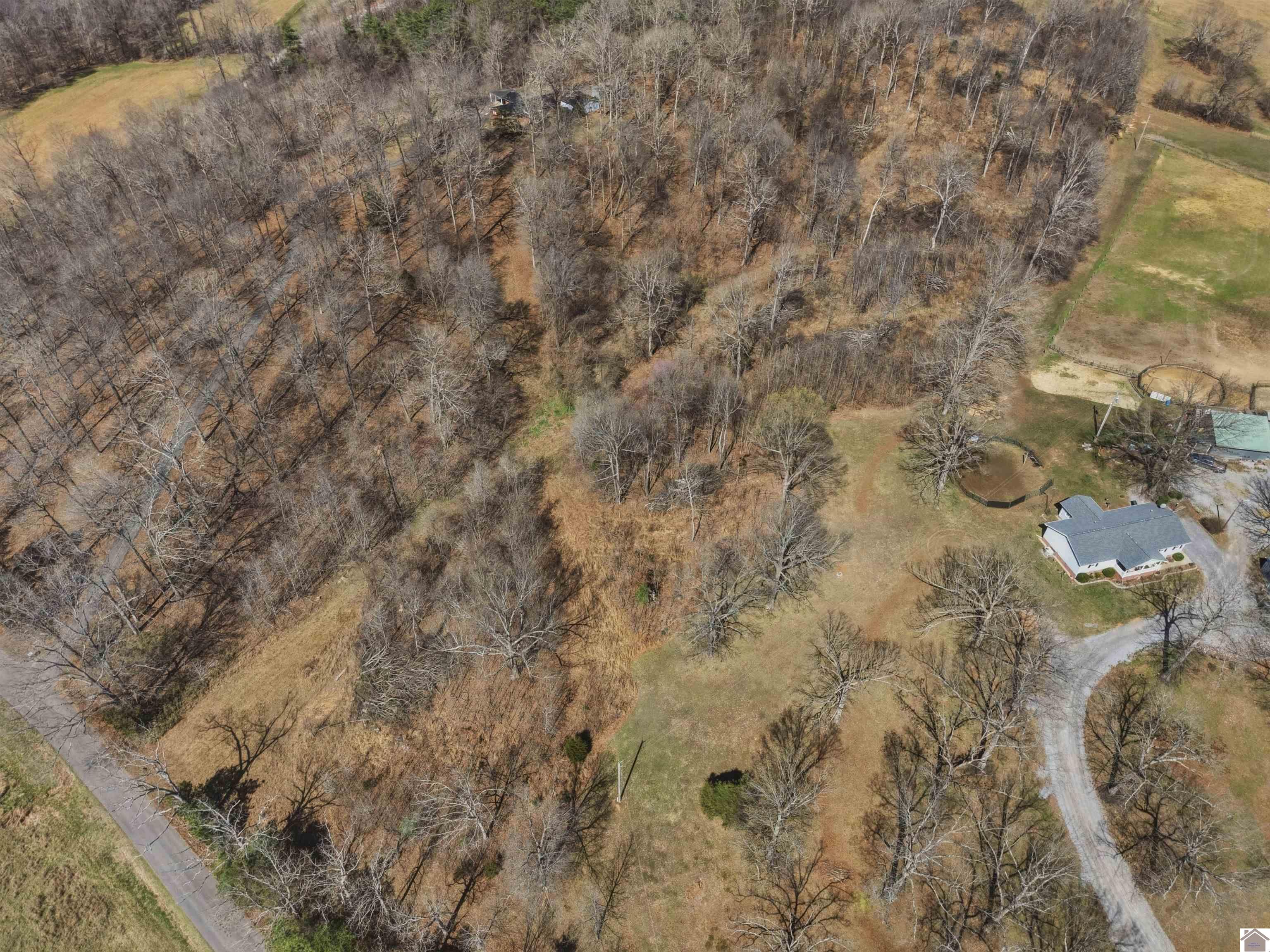 2113 Chestnut Oak