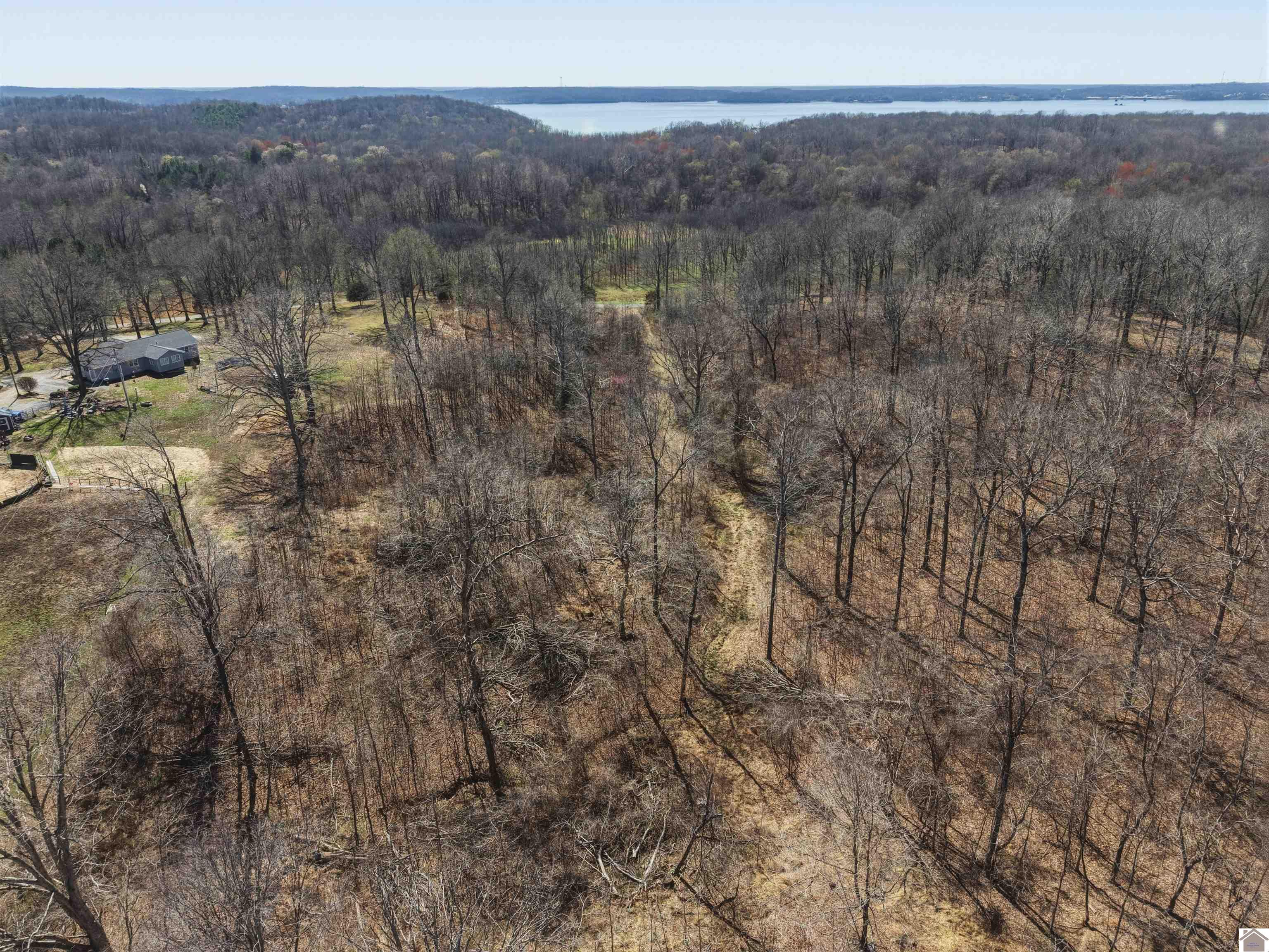 2113 Chestnut Oak