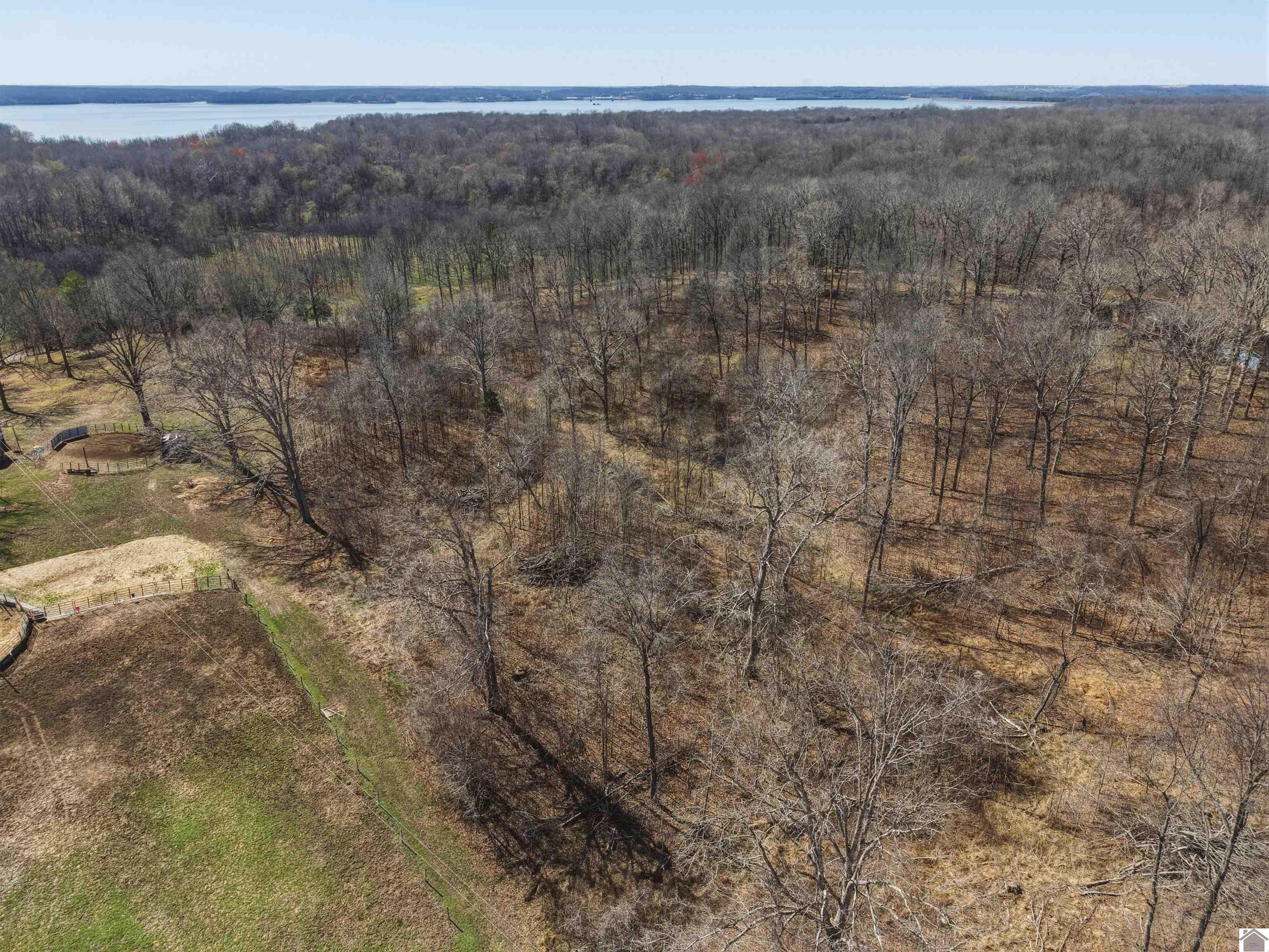 2113 Chestnut Oak