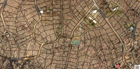 000 Meacham Dr New Concord KY 42076