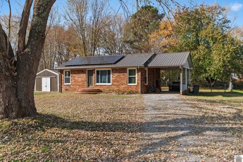 461 Post Oak Drive Murray KY 42071