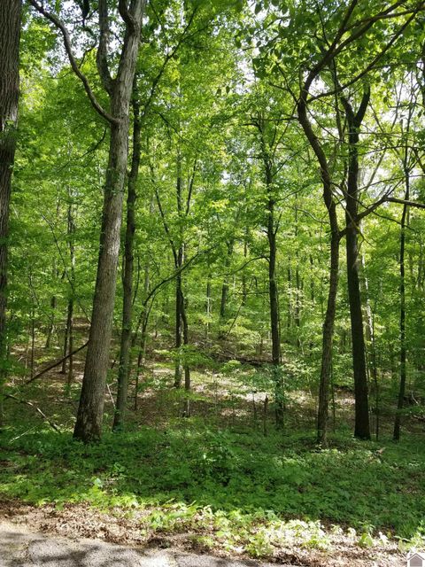 000 Irma White Rd Marion KY 42064