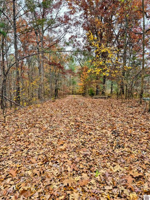 Bear Run Benton KY 42025